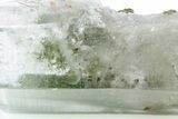 Himalayan Chlorite Phantom Quartz Crystal with Epidote #242014-2